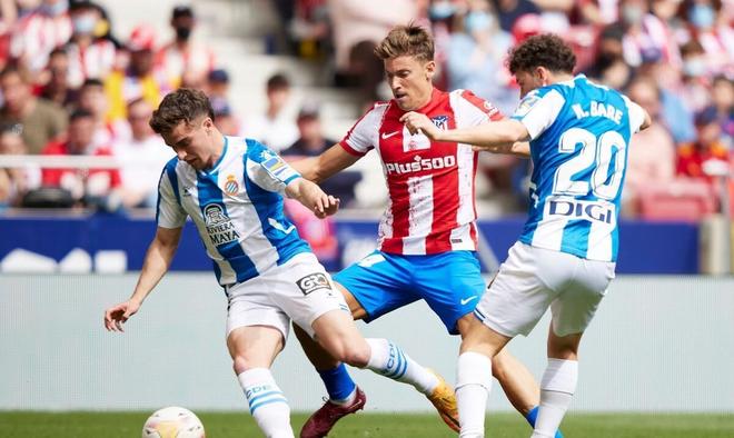 战绩颇具神 战绩颇具神