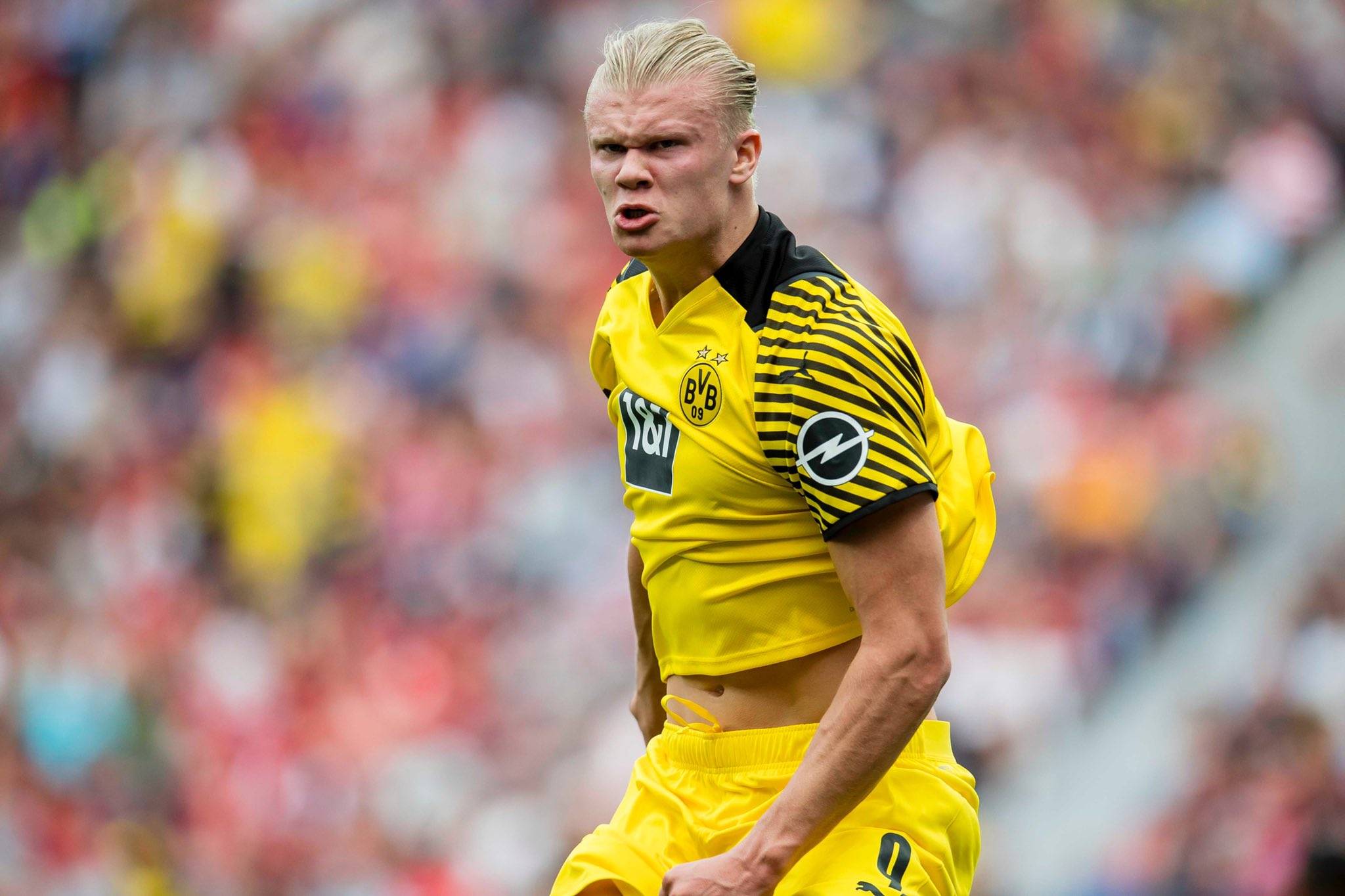 的成熟度 的成熟度